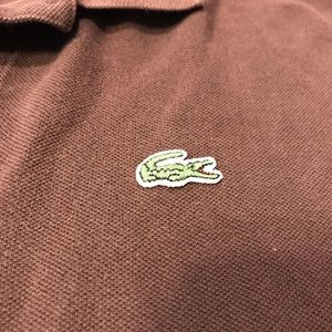 Lacoste brown polo Large size 5